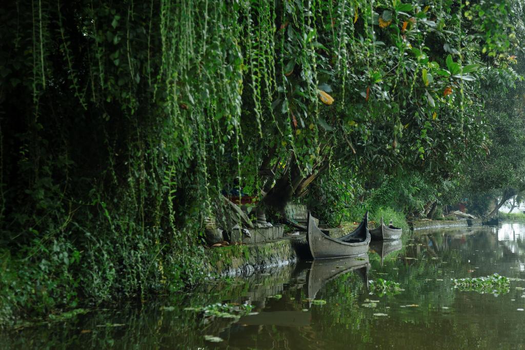 Palmgrove Lake Resort Alappuzha Luaran gambar