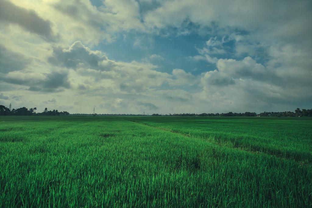 Palmgrove Lake Resort Alappuzha Luaran gambar