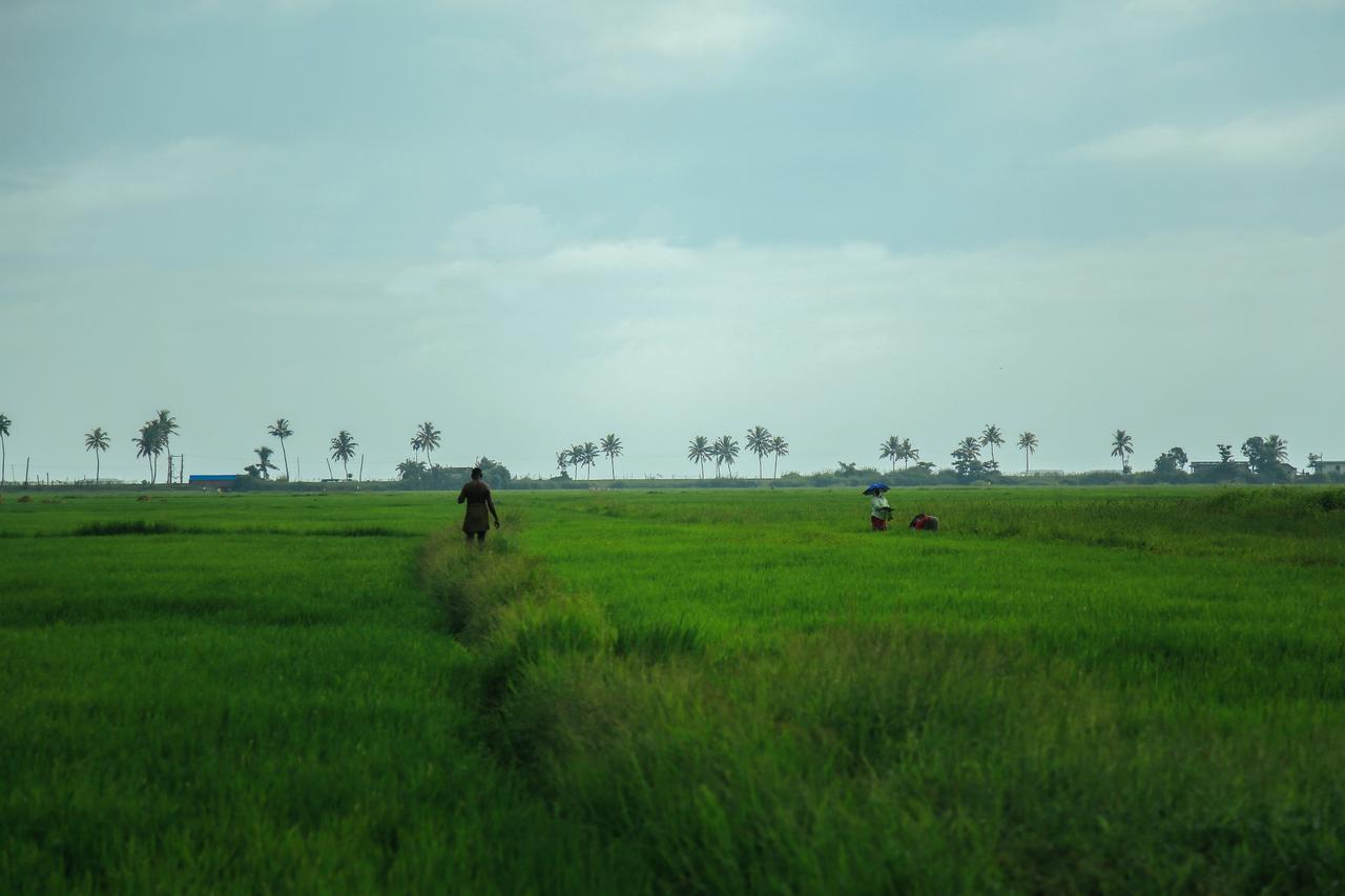 Palmgrove Lake Resort Alappuzha Luaran gambar