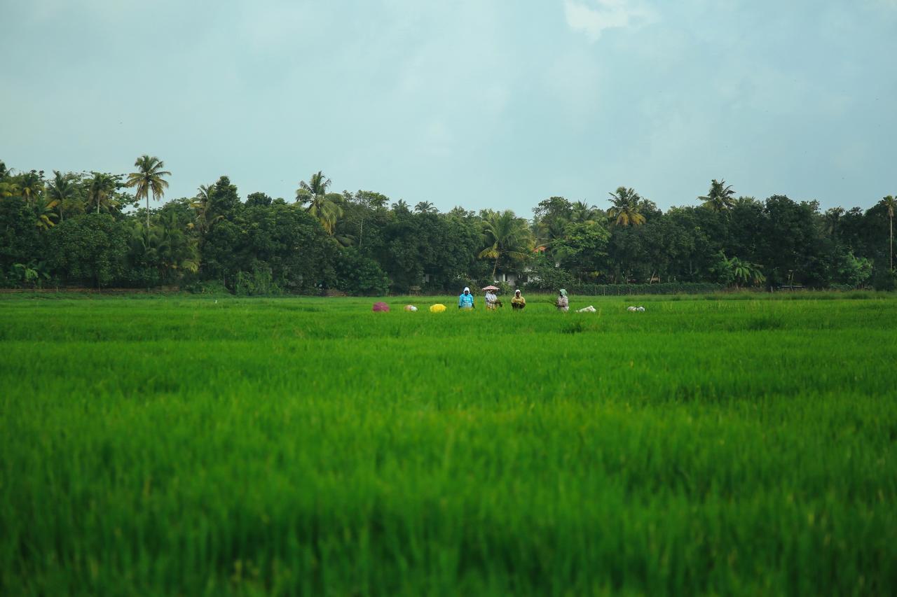 Palmgrove Lake Resort Alappuzha Luaran gambar